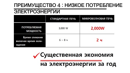 Высокотемпературная микроволновая печь WAVESINTER (DS-1300)