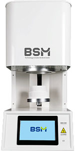 BSM-S30