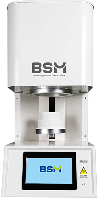 BSM-S30